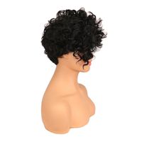 Wig European And American Ladies Wig African Women's Black Short Curly Hair Chemical Fiber Wig Factory In Stock Wholesale main image 5