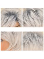 Cross-border Chemical Fiber Wig Silver Gradient Short Hair Women's Wig  Batch Delivery Factory Wholesale main image 2