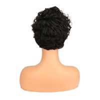 Wig European And American Ladies Wig African Women's Black Short Curly Hair Chemical Fiber Wig Factory In Stock Wholesale main image 2