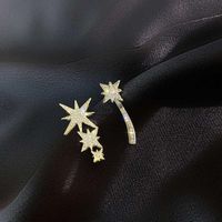 Fashion Star Alloy Asymmetrical Rhinestone Ear Studs 1 Pair main image 2