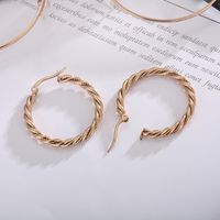 Fashion Spiral Stripe Plating Titanium Steel 18K Gold Plated Earrings main image 4