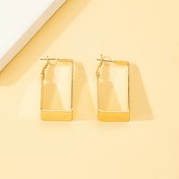 Simple Style Geometric Alloy Plating Earrings main image 5