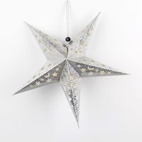 Christmas Star Paper Party Decorative Props sku image 9