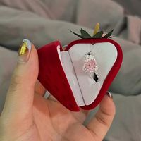 Cute Strawberry Plastic Flocking Ring Box Jewelry Boxes main image 1