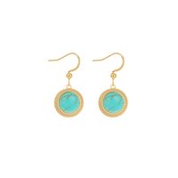 Mode Géométrique Acier Inoxydable Des Boucles D'oreilles Placage Turquoise Boucles D'oreilles En Acier Inoxydable sku image 1