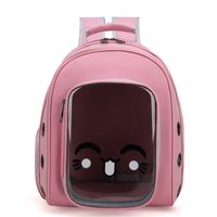 Pvc Pet Cat Bag Transparent Backpack Pet Bag Out Portable And Lightweight Large Backpack Wholesale main image 4