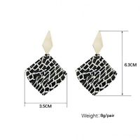 1 Pair Simple Style Rhombus Leopard Painted Arylic Earrings main image 3