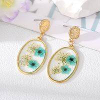 Wholesale Jewelry 1 Pair Fashion Dried Flower Alloy Drop Earrings sku image 5
