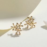 Mode Fleur Le Cuivre Boucles D'oreilles Incruster Zircon Boucles D'oreilles En Cuivre main image 2