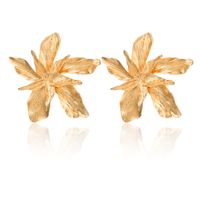 Womens Personality Exaggerated Alloy Flower Geometric Irregularity Alloy Earrings Gy190416117592 sku image 4