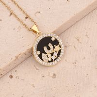 Stainless Steel 18K Gold Plated Fashion Inlay Heart Shape Owl Zircon Pendant Necklace main image 8