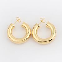 Fashion Geometric Copper Earrings Plating Copper Earrings sku image 1