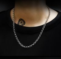 Einfacher Stil Geometrisch Titan Stahl Halskette Überzug Edelstahl Halsketten main image 1