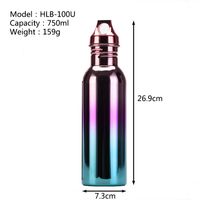 Fashion Gradient Color Stainless Steel Thermos Cup main image 2