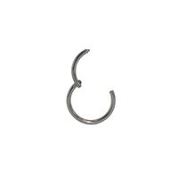 Simple Style Circle Stainless Steel Plating Nose Ring sku image 3