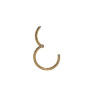 Simple Style Circle Stainless Steel Plating Nose Ring sku image 10
