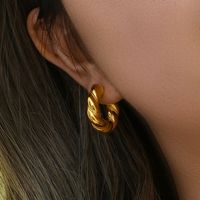 Retro Spiral Stripe Plating Stainless Steel Gold Plated Earrings main image 2