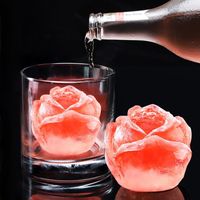 Simple Style Silica Gel Ice Cube Mold main image 1