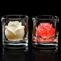Simple Style Silica Gel Ice Cube Mold main image 2