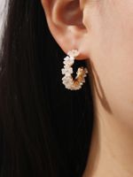 Vintage Style C Shape Flower Plating Alloy Earrings main image 1