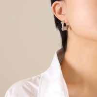 Mode Geometrisch Titan Stahl Ohrringe Überzug Edelstahl Ohrringe sku image 1