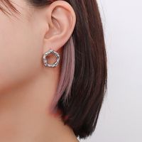Großhandel Basic Geometrisch Titan Stahl Ringe Ohrringe sku image 8