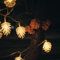 Christmas Cute Pine Cones Plastic Party String Lights main image 5