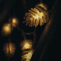 Lumières Mignonnes De Corde De Partie En Plastique De Pommes De Pin De Noël main image 3
