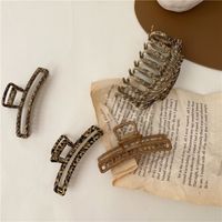 Simple Style Leopard Alloy Hair Claws main image 7