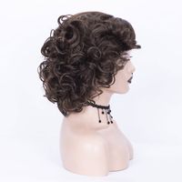 Women's Fashion Brown Party High Temperature Wire Side Points Short Curly Hair Wigs main image 3