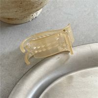 Simple Style Solid Color Plastic Hair Claws sku image 2