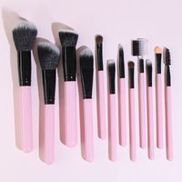 Simple Style Pink Artificial Fiber Aluminum Wooden Handle Makeup Brushes 12 Pieces main image 3