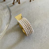 Moda Color Sólido Aleación Embutido Diamante De Imitación Perla Garras De Pelo sku image 3