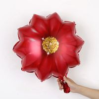 Geburtstag Rose Blume Gänseblümchen Aluminiumfolie Gruppe Ballon sku image 5