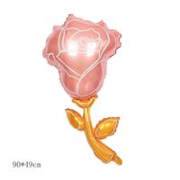 Date D'anniversaire Rose Fleur Marguerite Film D'aluminium Fête Ballon sku image 13