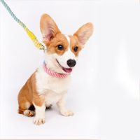 Cute Woven Rainbow Multifunctional Double-headed Pet Hand Holding Rope Dog Leash Dog Traction Rope Pet Necklet Set main image 3