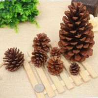 Christmas Pine Cones Wood Party Decorative Props main image 3