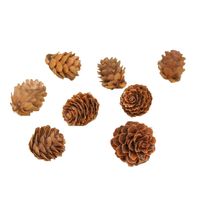 Christmas Pine Cones Wood Party Decorative Props main image 6