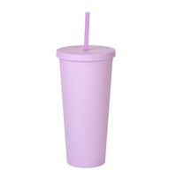 Double-layer Plastic Straw Cup With Lid 24oz Large-capacity Plastic Frosted Ready-to-hand Water Cup sku image 5