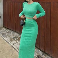 Simple Style Solid Color Polyester Slit Skirt Sets 2 Piece Set main image 2