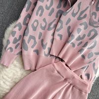 Casual Leopard Knit Printing Pants Sets 3 Piece Set main image 6