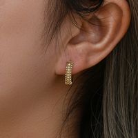 1 Pair Lady Geometric Plating Stainless Steel Zircon Gold Plated Hoop Earrings main image 2