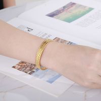Fashion Leaf Titanium Steel 18K Gold Plated Bracelets In Bulk main image 5