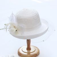 Women's Fashion Solid Color Gauze Crimping Straw Hat main image 10