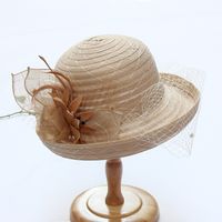 Women's Fashion Solid Color Gauze Crimping Straw Hat sku image 1