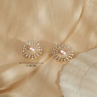 Fashion Round Copper Ear Studs Plating Pearl Zircon Copper Earrings sku image 3