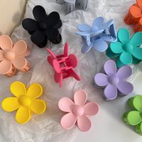 Sucré Fleur Plastique Résine Griffes De Cheveux 1 Pièce main image 1