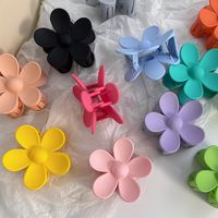 Sweet Flower Plastic Resin Hair Claws 1 Piece main image 1