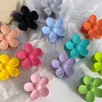Sweet Flower Plastic Resin Hair Claws 1 Piece main image 4