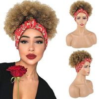 Women's Fashion Brown Light Brown Black Party Chemical Fiber Short Curly Hair Wigs sku image 1